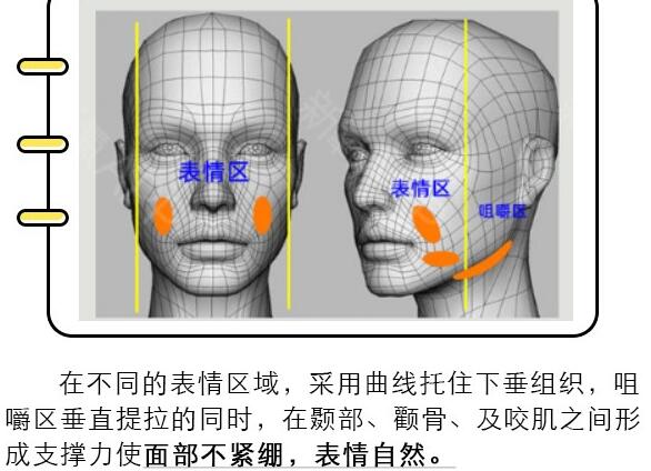 v美骨雕是什么项目