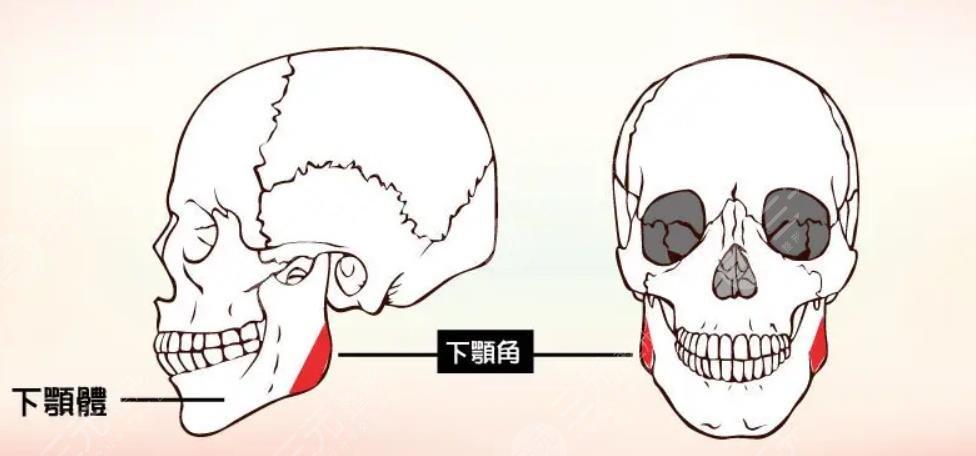磨骨和削骨的区别是什么?