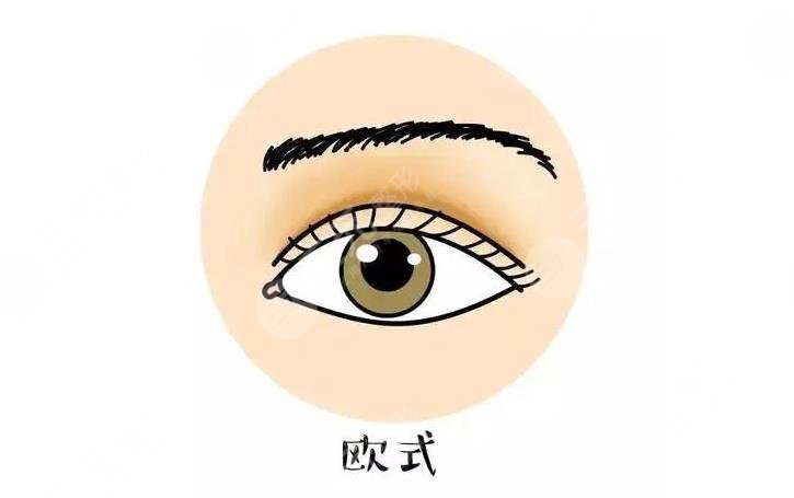 三点和欧式双眼皮哪个好?看?